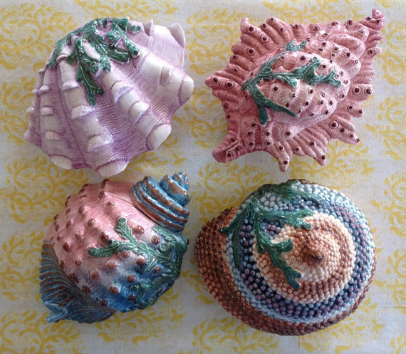 sea shells