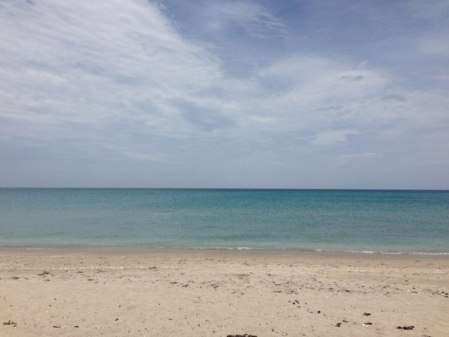 The Ocean