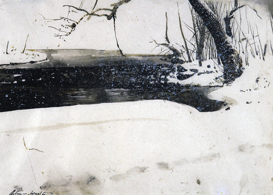 Andrew Wyeth Snow
