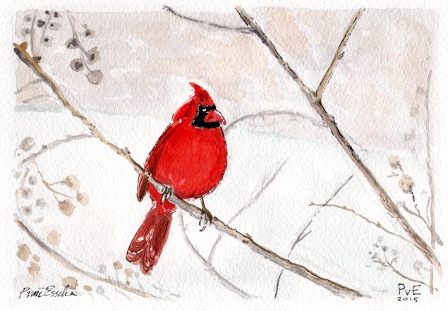 Cardinal red