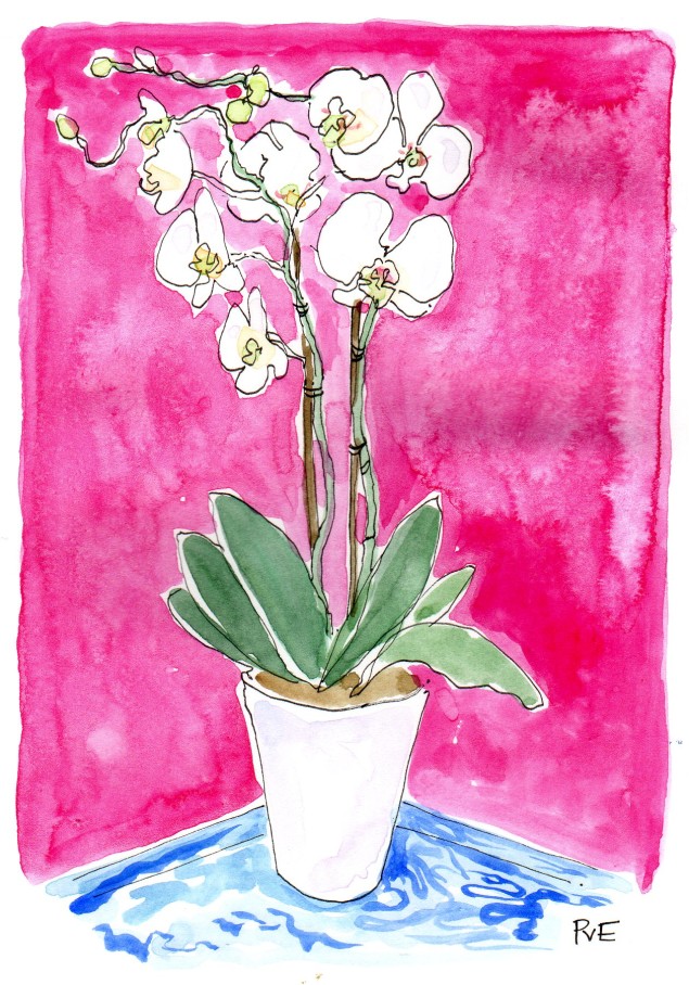 PvE Design - Orchid show931
